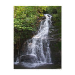 Beautiful Tennessee Postcards