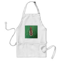 Beautiful Tiger Beetle Apron