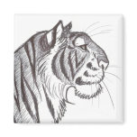Beautiful Tiger drawing magnet