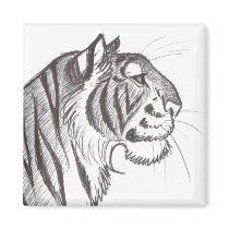 Beautiful Tiger drawing magnet