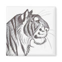 Beautiful Tiger drawing magnet by we_the_animals Beautiful Tiger drawing magnet