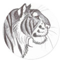 Beautiful Tiger drawing sticker by we_the_animals Beautiful Tiger drawing sticker