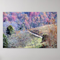 Beautiful Track On The Mountains Full Of Orange An Poster