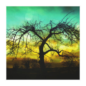 Beautiful Tree Silhouette at Sunset Ombre Aqua Canvas Print