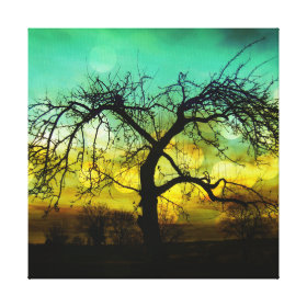 Beautiful Tree Silhouette at Sunset Ombre Aqua Stretched Canvas Print