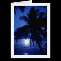 Beautiful Tropic Scenery Card by forbes1954 Beautiful Tropic Scenery Card
