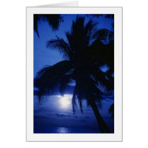 Beautiful Tropic Scenery Card