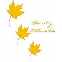 Beautiful t-shirts