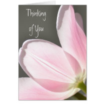Beautiful Tulip cards