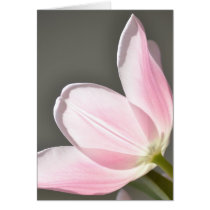 Beautiful Tulip cards