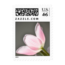 Beautiful Tulip postage