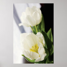 Beautiful tulips posters
