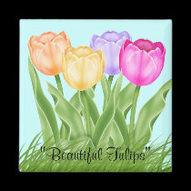 Beautiful Tulips magnets