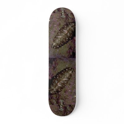 Beautiful Two-inch flatworm from the Fiji Islands Skate Boards by inspirelove