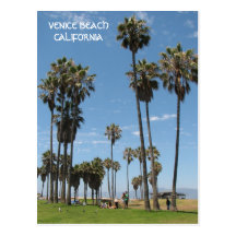 Beautiful Venice Beach Postcard!