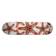 Beautiful Vibrant Red Starfish Sand Ocean Sealife Skate Deck
