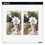 Beautiful Vintage Magnolia Southern Belle Skins For Kindle Fire