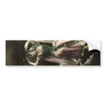 Beautiful Vintage Moon Bather Bumper Stickers