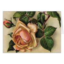 *Beautiful Vintage Roses* cards by ArtisticFootprints *Beautiful Vintage Roses* cards