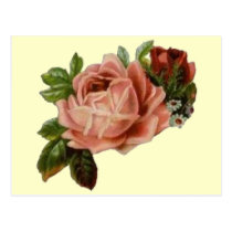 Beautiful Vintage Roses postcards