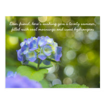 Beautiful Violet Hydrangea Green Leaf Bokeh Lights Post Card