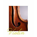 Beautiful Violin Image by Leslie Harlow t-shirts