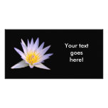 Beautiful Water Lily on Black Photo Card Template