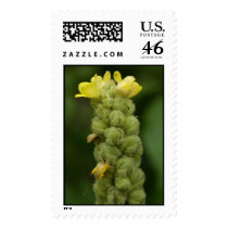 Beautiful Weed postage by MechelleAvey Beautiful Weed postage