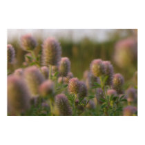 Beautiful weeds poster posters by DiEtte Beautiful weeds poster posters