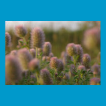 Beautiful weeds poster posters