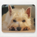 Beautiful Westie Dog Mouse Pad / Mouse Mat