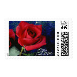 Beautiful Wet Rose Love 05med stamps
