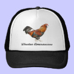 Beautiful Wheaten Ameraucana Chickens hats