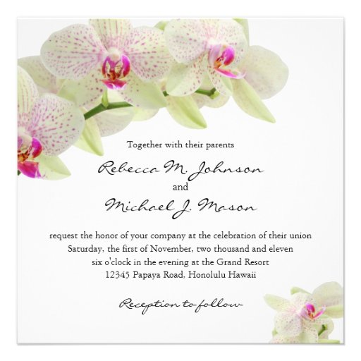Beautiful White and Hot Pink Orchids Invite