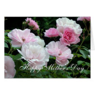 beautiful white and pink rose flowers mother's day greeting cards