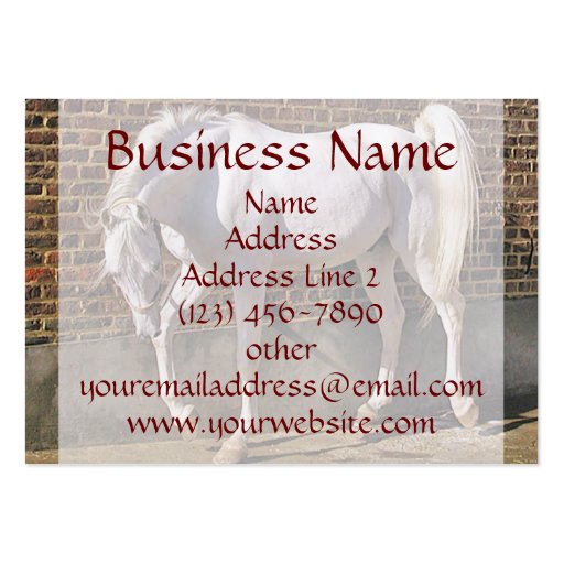 Beautiful White Arabian Horse Business Cards (front side)