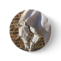 Beautiful White Arabian Horse Pinback Buttons