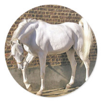 Beautiful White Arabian Horse Round Stickers