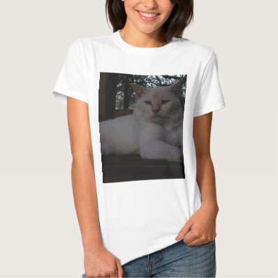 Beautiful White, long haired cat T Shirt