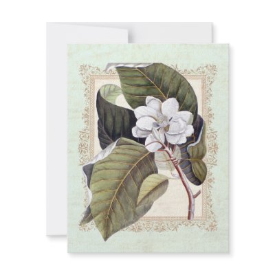 Beautiful White Magnolia Formal Dinner Party Personalized Invitation by BotanicalGardens
