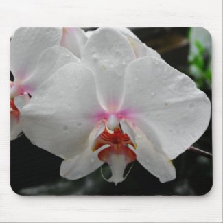 Beautiful White Orchid mousepad
