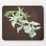 Beautiful White Orchid Mousepad