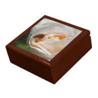 beautiful white rose flower and ladybug jewelry box