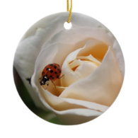 beautiful white rose flower and ladybug christmas ornaments