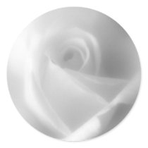 Beautiful White Rose Stickers