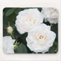 Beautiful white roses and buds with green leaves mousepads