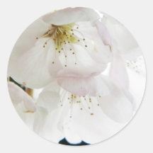 Beautiful White Round Stickers
