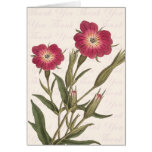 Beautiful Wild Field Flowers Vintage Thank You Cards