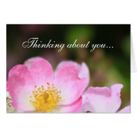 beautiful wild pink rose flowers thinking about yo greeting card