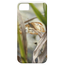 Beautiful Wings IPhone 5 Case